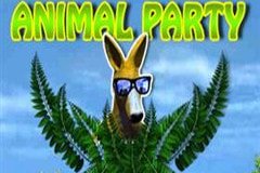 Triple Play Draw Poker