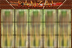 Дикий Запад Игровой Автомат