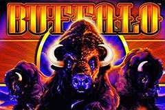 Lucky Pearl Слоты