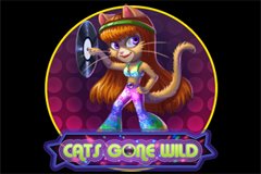 Обзор игрового автомата Golden Bucks