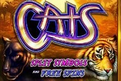 Слоты с привидениями Слоты с привидениями