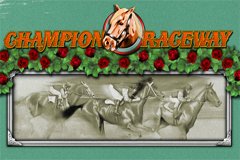 Дикие игральные кости слоты