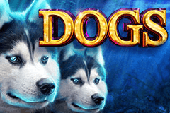 Слот Panda & Dragoness