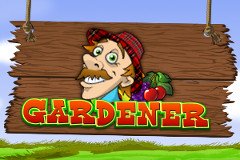 Скретч-карта