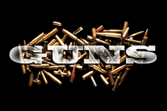 Слоты Мастера Демонов