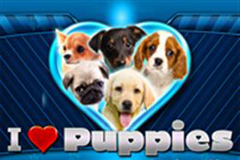 Игровой автомат Irish Riches