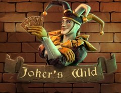 Pixies of the Forest Слот