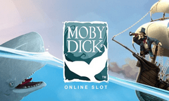 Счастливые слоты поиска