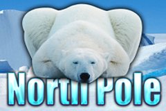 Чемпионы супер слоты