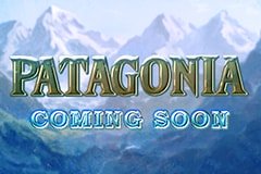 Слот Дикого Роя