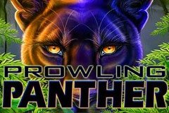 Обзор игровых автоматов Wicked Dragon Wilds