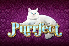 Слоты Макао Фортуна