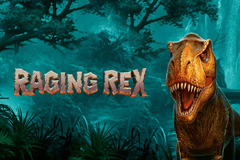 Слоты кодов майя