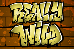 Обзор игровых автоматов Action Bank Plus