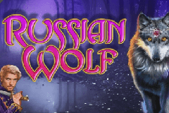 Феникс солнечные слоты