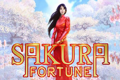 Слот Черной Магии