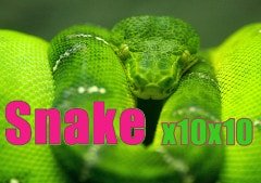 Triple Play Draw Poker