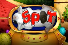 Мистер Большой Игровой Автомат