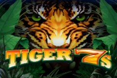 Цирк Вагон Слот