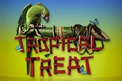 Bork игровой автомат Berzerker