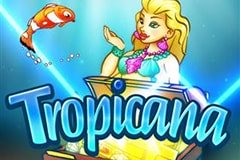 Игровой автомат Moonlight Fortune