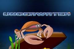 1421 Путешествие Слот Чжэн