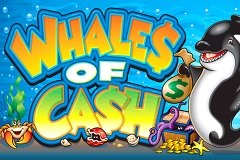 Волшебные деньги слоты Волшебные деньги слоты