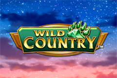 Wild Warp Игровой автомат Wild Warp Игровой автомат