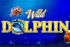 Le Chef Игровой автомат