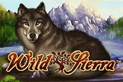 Слоты стада побед