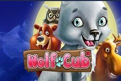 Дикий Запад Игровой Автомат